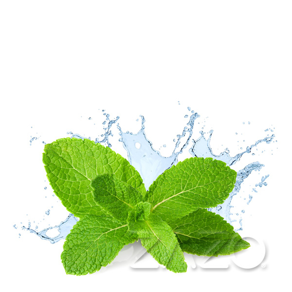 Zazo Liquids Fresh Mint